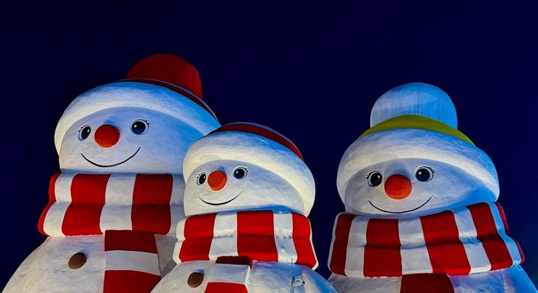 harbinfrozen-ice-snow-world-entry-ticket-en-2