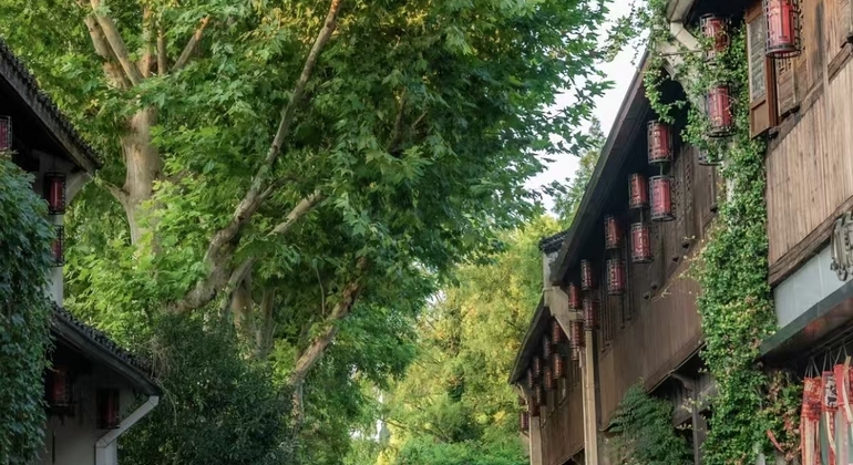 old-hangzhou-hidden-soul-free-tour-en-3