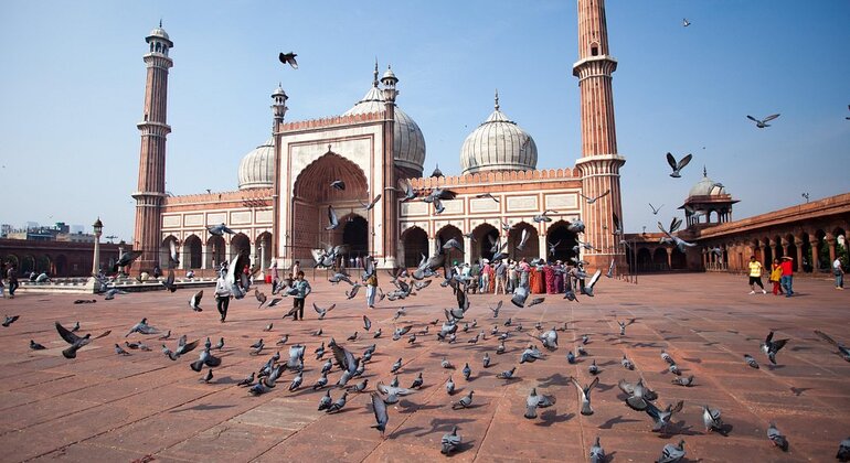 Free Old Delhi Tour India &mdash; #6