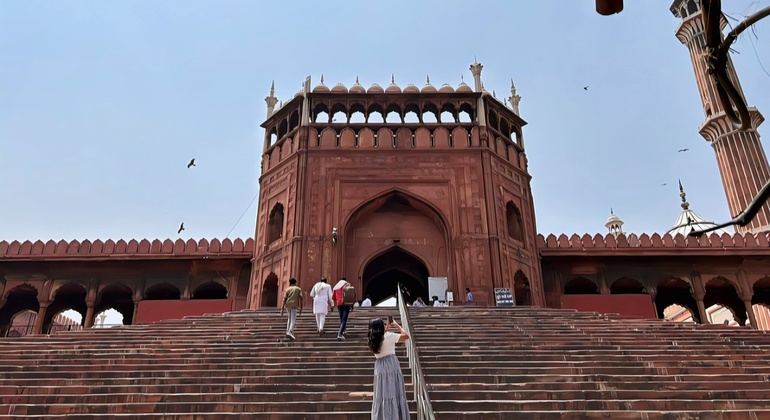 Free Old Delhi Tour India &mdash; #8