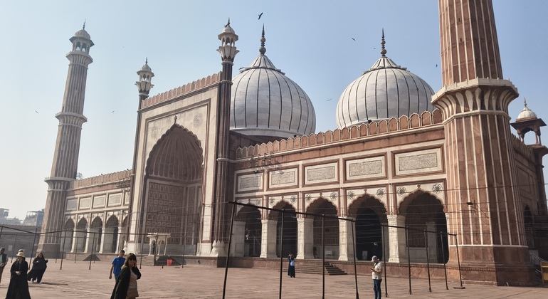 Free Old Delhi Tour India &mdash; #10