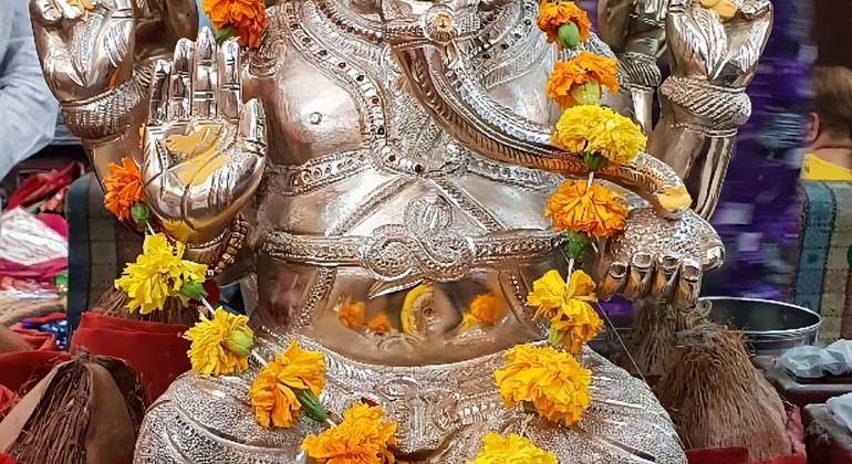 Old Delhi Free Tour: Spice Market, Wedding, Temples & Rickshaw Ride India &mdash; #15