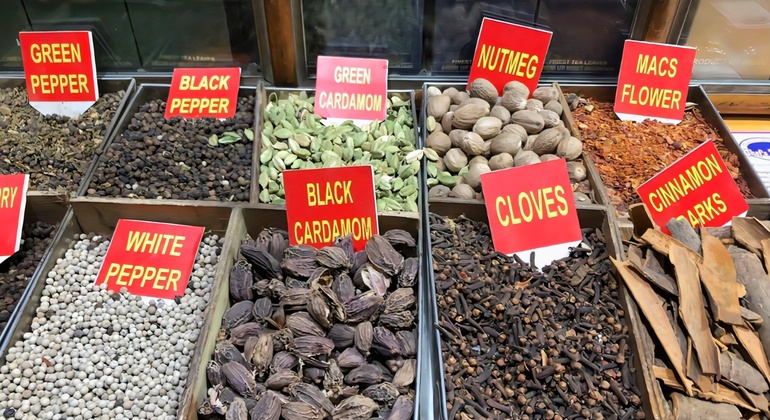 Old Delhi Free Tour: Spice Market, Wedding, Temples & Rickshaw Ride India &mdash; #18