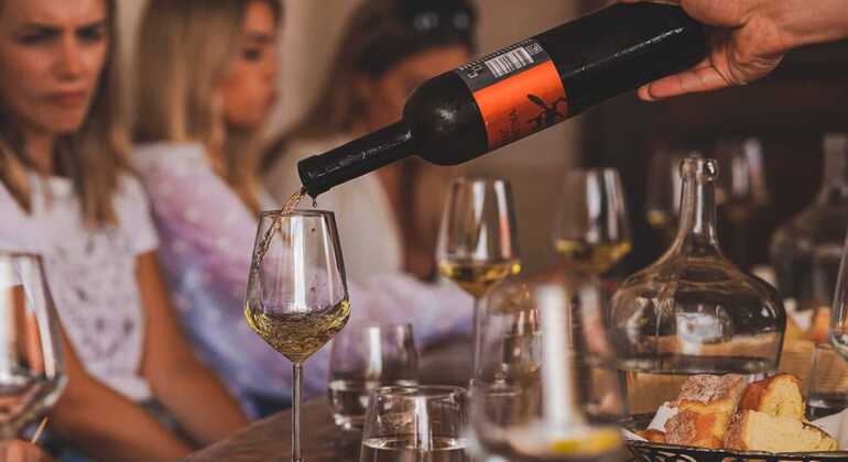 Krka Waterfalls Tour with Wine Tasting Croatia &mdash; #5