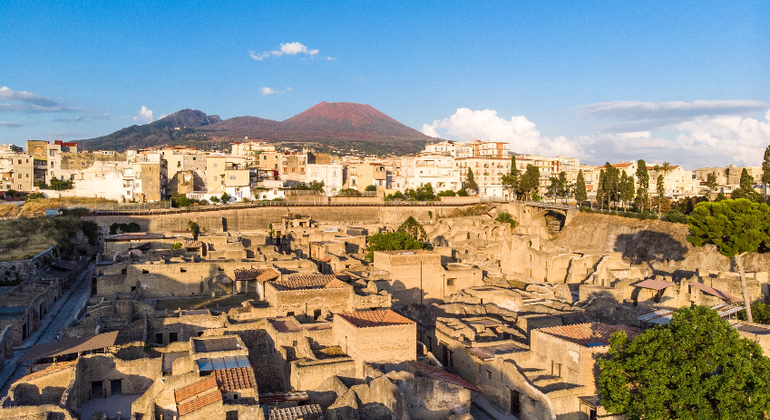 Herculaneum Excavations Tour with Professional Tourist Guide