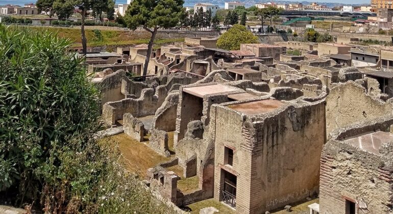tour-of-ercolano-with-professional-en-1