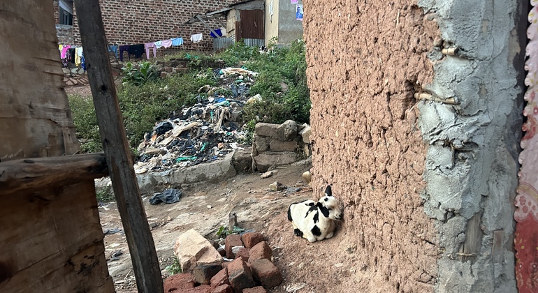 Visita gratuita a las comunidades del gueto de Kampala Uganda &mdash; #4