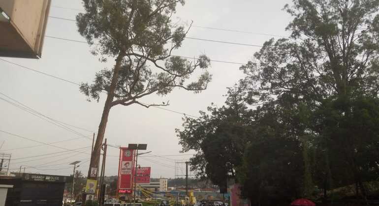 Kampala Free Tour: La Milla Real de Uganda y el Lago del Rey Uganda &mdash; #2