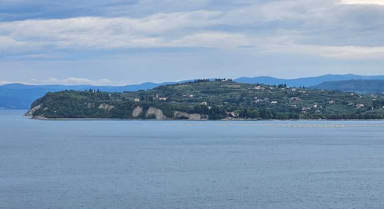 draft-izolastrunjan-coastal-walk-free-tour-cliffs-moon-bay-salt-pan-en-4