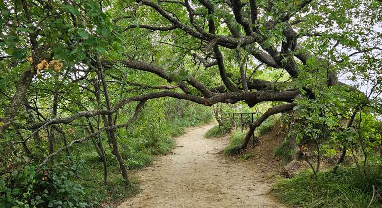 draft-izolastrunjan-coastal-walk-free-tour-cliffs-moon-bay-salt-pan-en-8
