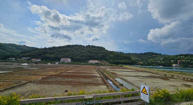 draft-izolastrunjan-coastal-walk-free-tour-cliffs-moon-bay-salt-pan-en-9
