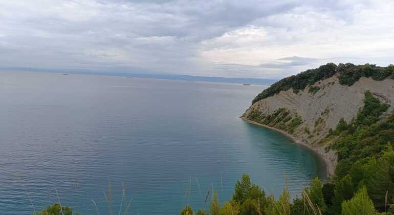 draft-izolastrunjan-coastal-walk-free-tour-cliffs-moon-bay-salt-pan-en-11