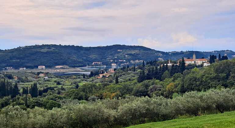 draft-izolastrunjan-coastal-walk-free-tour-cliffs-moon-bay-salt-pan-en-12