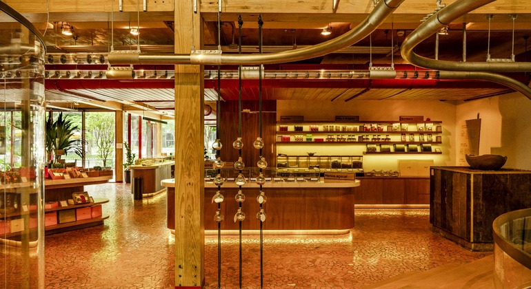 guided-tour-to-a-chocolate-factory-en-3