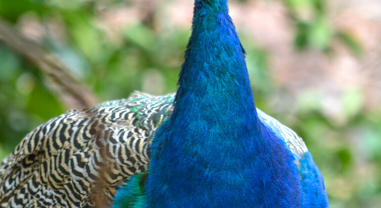 Tour di un giorno dell'Isola della Prigione, Nakupenda e Stone Town Tanzania &mdash; #6