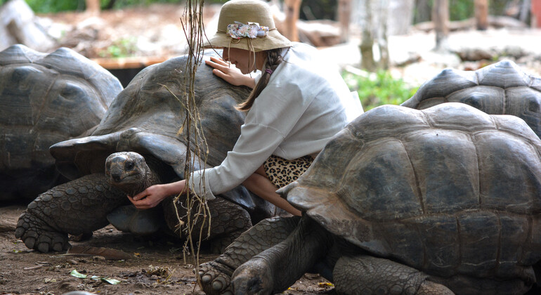 Tour di un giorno dell'Isola della Prigione, Nakupenda e Stone Town Tanzania &mdash; #2