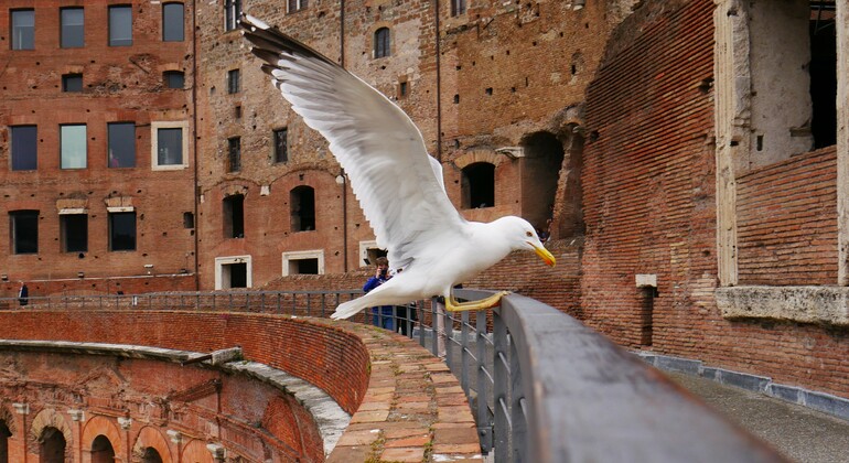 individual-rome-photo-tour-en-3