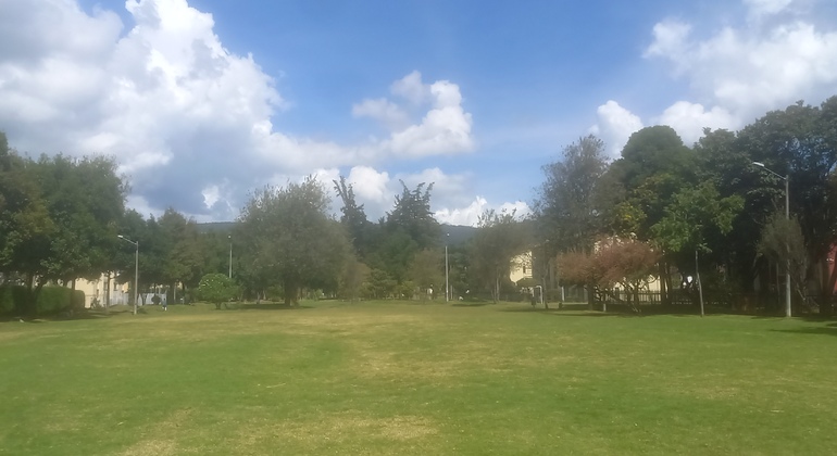 Sant Helena de Baviera Urban Forest Ecological Walk Provided by Luis Gabriel Amado Sanchez