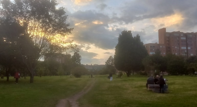 Sant Helena de Baviera Urban Forest Ecological Walk Colombia &mdash; #2