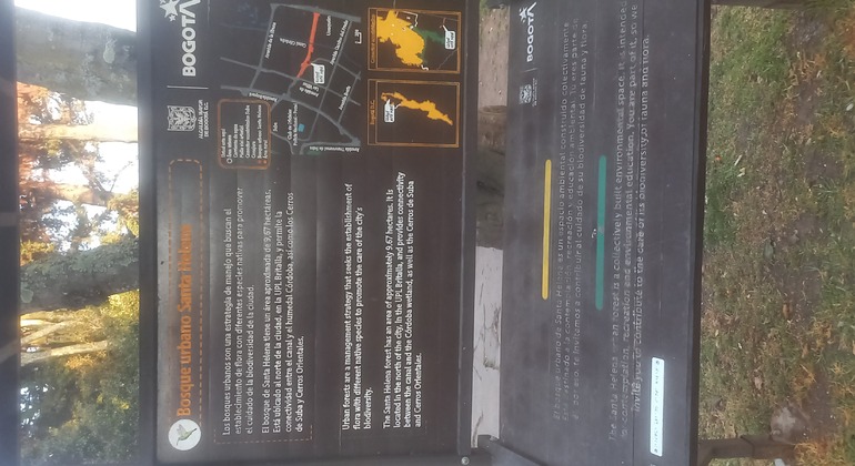 Sant Helena de Baviera Urban Forest Ecological Walk Colombia &mdash; #3