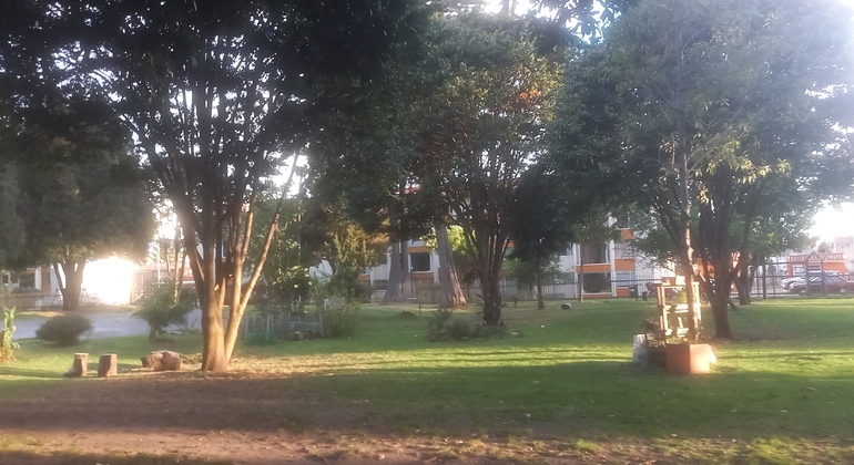 Sant Helena de Baviera Urban Forest Ecological Walk Colombia &mdash; #4