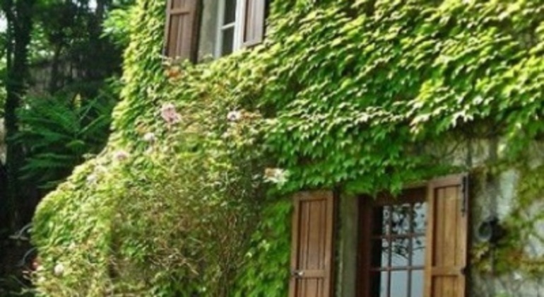 montevideo-nature-and-winemaking-tour-en-3