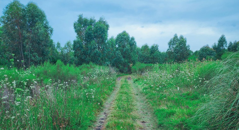 montevideo-nature-and-winemaking-tour-en-16