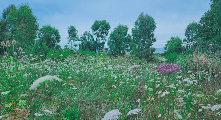 montevideo-nature-and-winemaking-tour-en-17