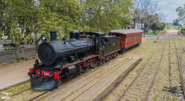 montevideo-nature-and-winemaking-tour-en-20