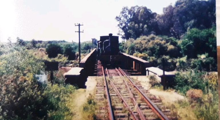 montevideo-nature-and-winemaking-tour-en-21