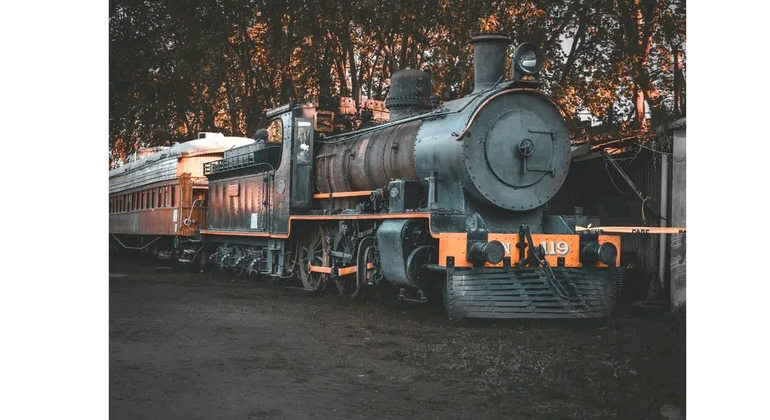 montevideo-nature-and-winemaking-tour-en-22