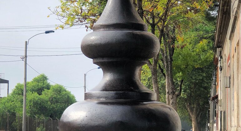 montevideo-nature-and-winemaking-tour-en-28