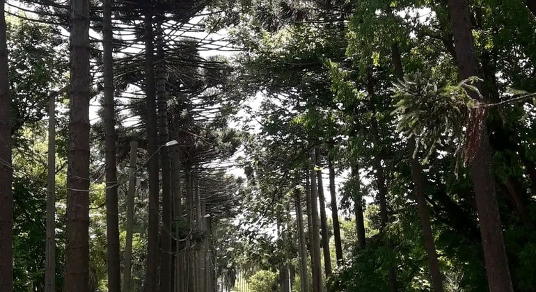 montevideo-nature-and-winemaking-tour-en-34