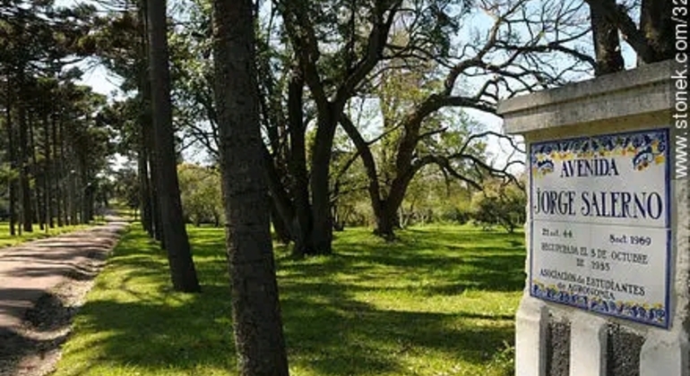 montevideo-nature-and-winemaking-tour-en-35