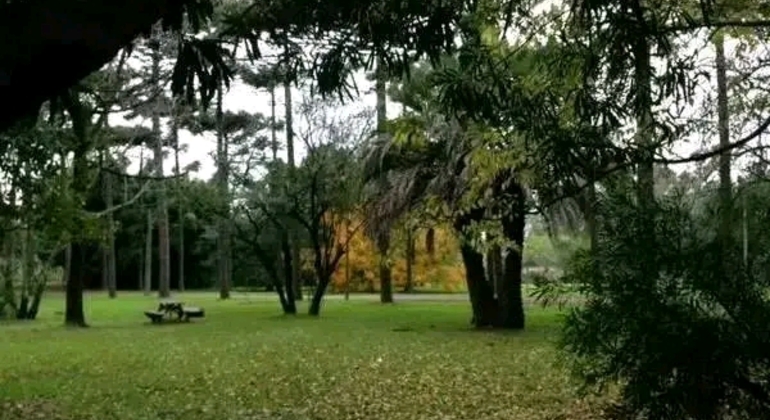 montevideo-nature-and-winemaking-tour-en-37