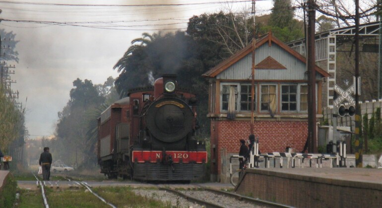 montevideo-nature-and-winemaking-tour-en-41