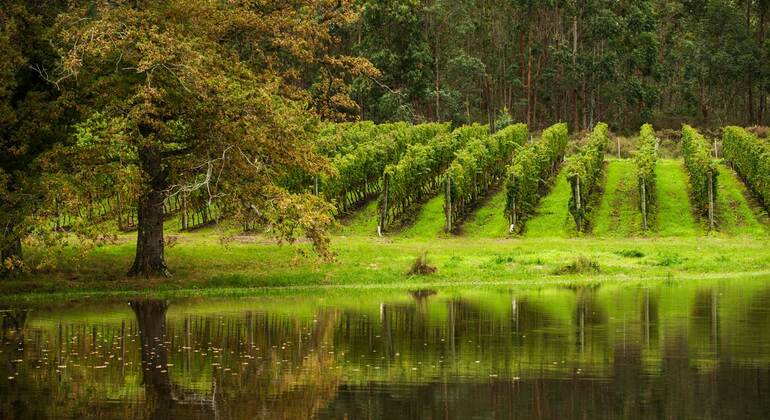 History and Nature Tour to the North of Montevideo
