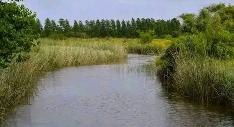 Private History and Nature Tour in the North of Montevideo Uruguay &mdash; #6