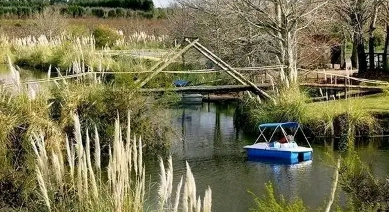 Private History and Nature Tour in the North of Montevideo Uruguay &mdash; #7