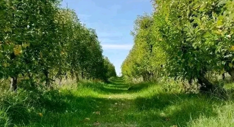 Private History and Nature Tour in the North of Montevideo Uruguay &mdash; #8