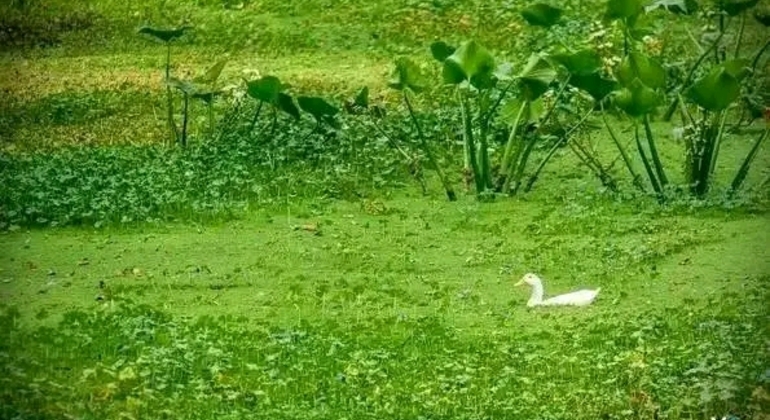 Private History and Nature Tour in the North of Montevideo Uruguay &mdash; #10