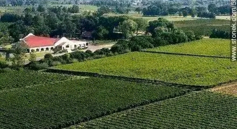 Private History and Nature Tour in the North of Montevideo Uruguay &mdash; #11