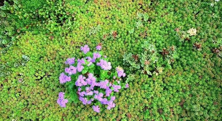 Private History and Nature Tour in the North of Montevideo Uruguay &mdash; #24