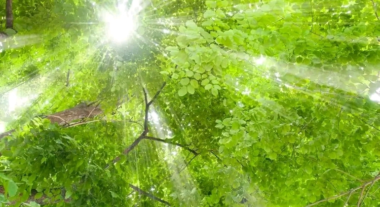 Private History and Nature Tour in the North of Montevideo Uruguay &mdash; #39