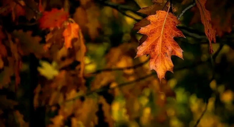 Private History and Nature Tour in the North of Montevideo Uruguay &mdash; #41