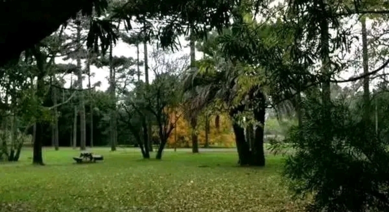 Private History and Nature Tour in the North of Montevideo Uruguay &mdash; #48