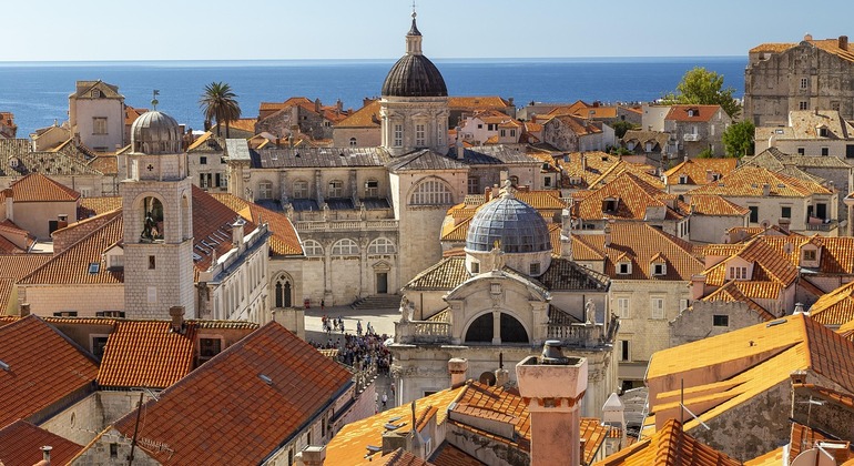 Wine Tour: Get to know local grapes Croatia &mdash; #2