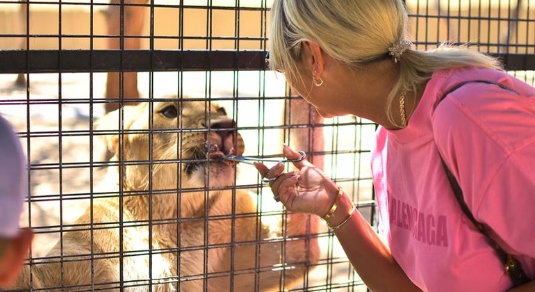Canyon verde laterale, cascata e visita della moschea Turchia &mdash; #13