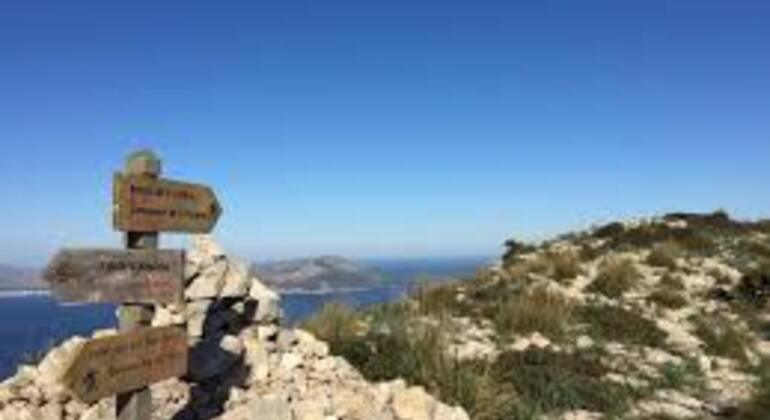 la-victoria-alcudia-free-tour-es-3