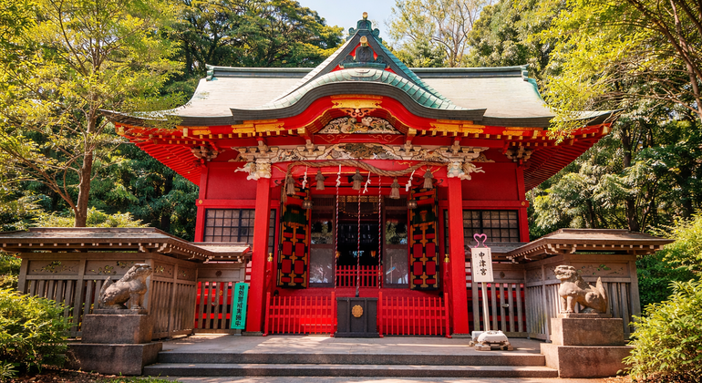 Tour From Samurai Rule to Seaport Japan: Kamakura, Enoshima, Yokohama